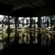 Image for article titled Kelly Richardson's Beautiful Futuristic Landscapes Hide A Dark Secret